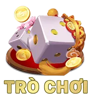 Tốc độ nhanh chóng